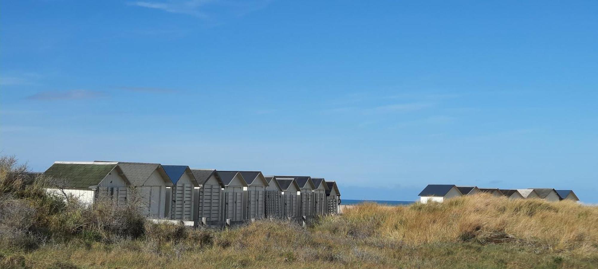 La Petite Taupe - Chambres D'Hotes Saint-Omer  Экстерьер фото